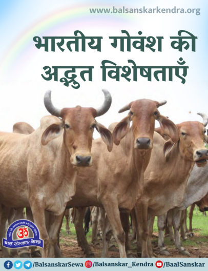 importance of Indian desi cow