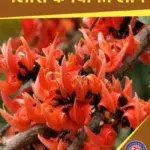 Palash Flowers Tree: Health Benefits, Medicinal uses in Hindi
