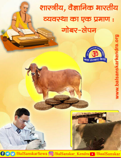 (Gobar) Cow Dung Benefits Proved by Scientists Research